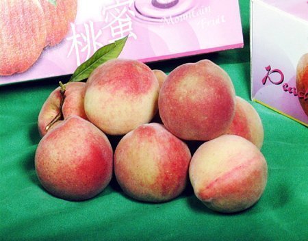 南投信義~黑森林農場水蜜桃