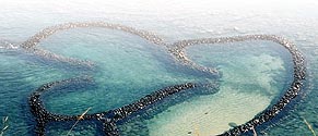 海上捕魚到底是怎麼個滋味呢?台北市農會帶您搭乘沒有暈船恐懼的、沒有柴油味的膠筏出海去,到「員貝嶼海上牧場」,捕抓定置網內的魚,體驗一下捕魚郎的感覺!