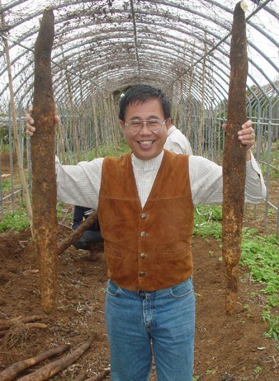 山藥的確是一種高經濟、高營養的農作物,近年來頗受民眾歡迎,種植面積有愈來愈廣的趨勢,無論是食用或藥用,其營養價值都很高。 (氣象將軍俞川心)