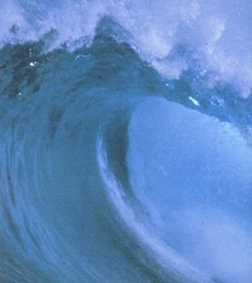 南亞8.9強震海嘯超過五層樓高(2005/01) 南亞8.9強震海嘯超過五層樓高(2005/01)