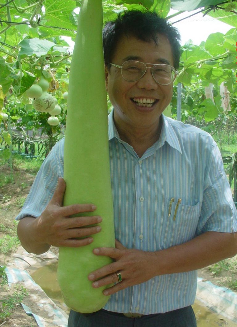 彎進蓮花園給您一夏驚豔 賞蓮、觀景、吃蓮子、採火龍果