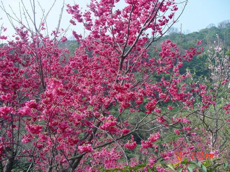談按四季談養生
