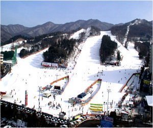 雙向「遊韓享樂事」推出多元玩法