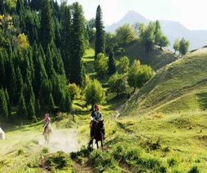 西域風情處處充滿驚奇