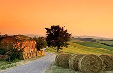 我在托斯卡尼豔陽下