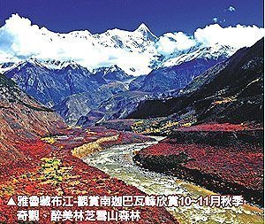 『西藏印象』帶您體驗金秋十月，醉美仙境林芝絕美景色!