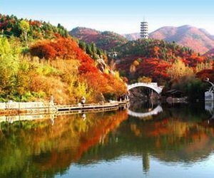 異國風情世界遺產盡藏山東