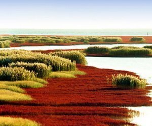 中國東北最美景致一次走透透