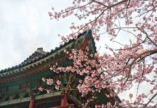 暑假早鳥搶先購 春季旅展搶先開跑