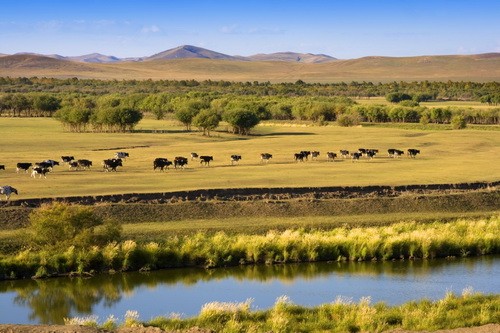 徜徉蒙古草原 深度體驗遊牧生活