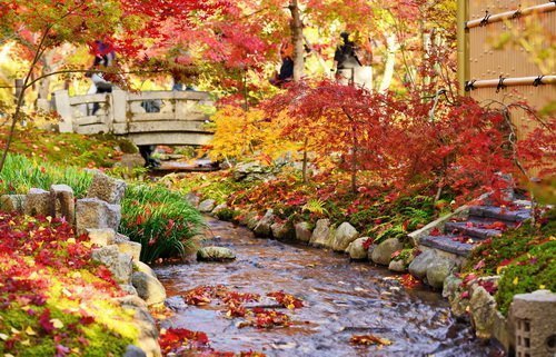賞楓、賞雪最高省1.3萬元  愛遊中國萬元有找 旅展現場8仟元紅包大方送，再加贈30萬好禮