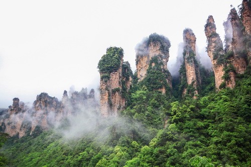 逸歡旅遊 超精華特別企劃