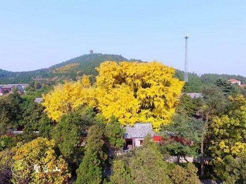 秋季旅遊首選 大自然的調色盤