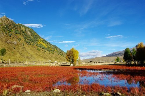 最後的香格里拉　深度之旅