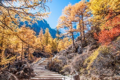 最後的香格里拉　深度之旅