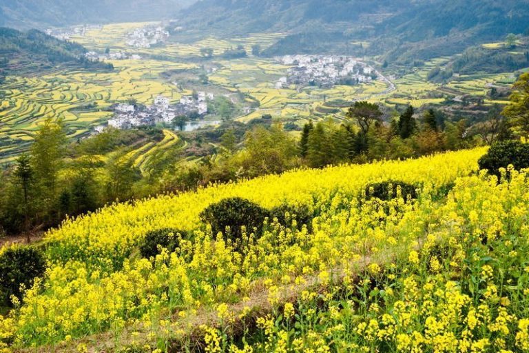 8月遊江西 小費大放送