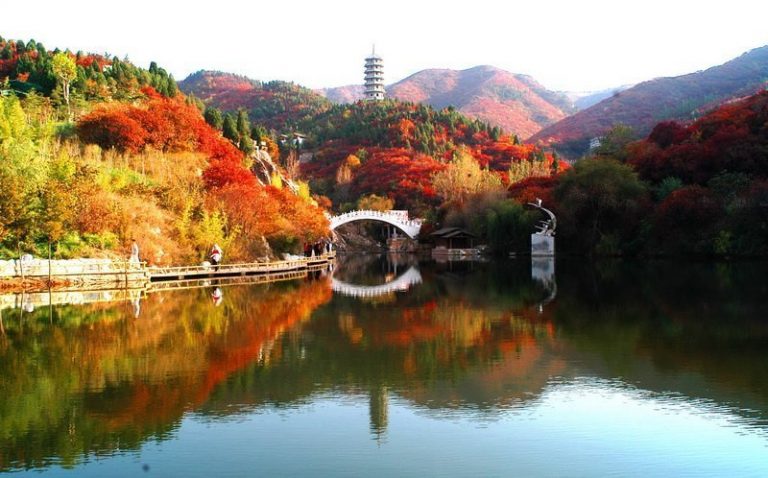 楓光登場－金秋山東由你玩