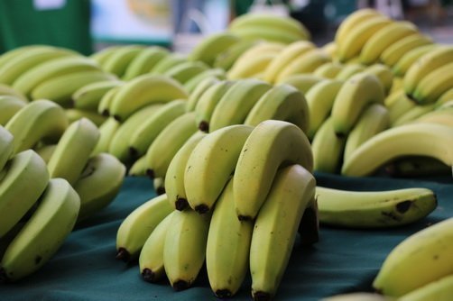 冬令進補月到花博農民市集逛逛