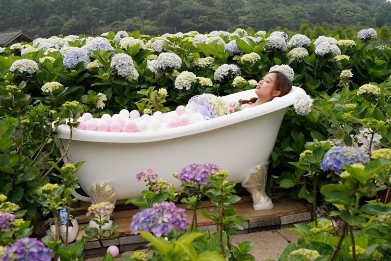 繡球花季5/18正式開跑 繽紛閃耀竹子湖