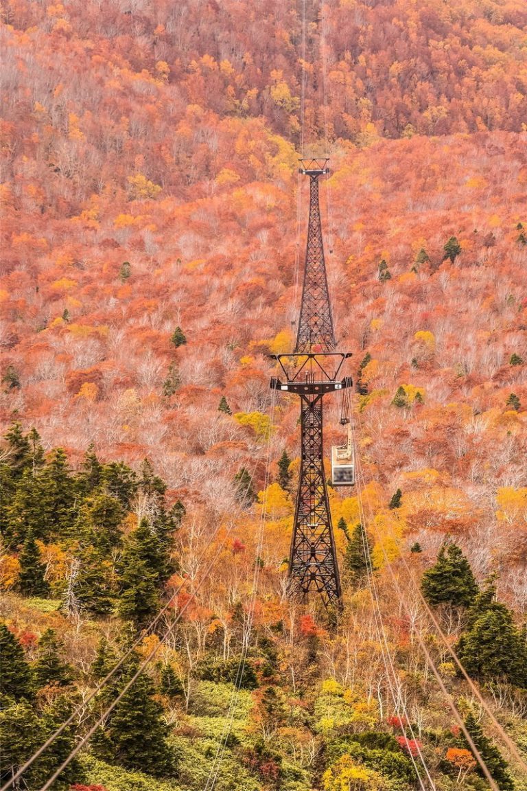 日本東北追楓省很大 世界百選全覽遊