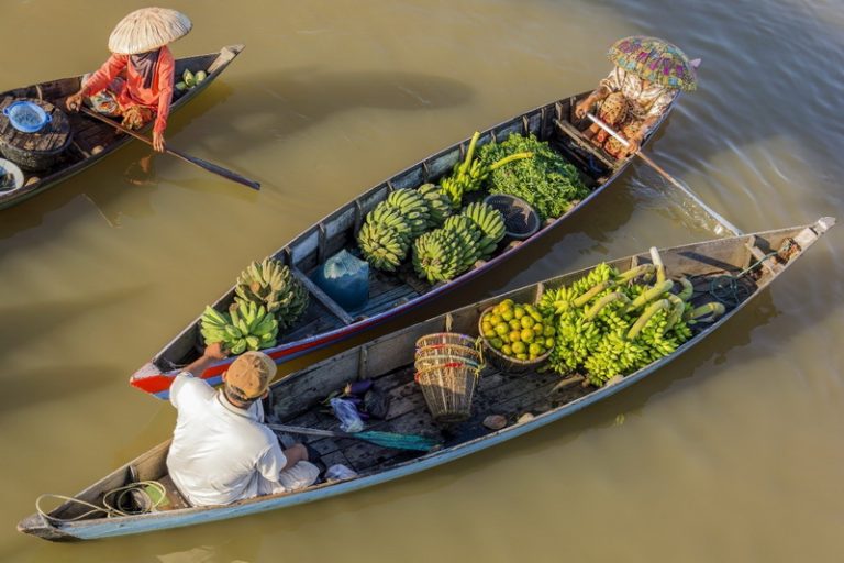 搶先拜訪印尼新首都預定地加里曼丹 勇闖熱帶雨林