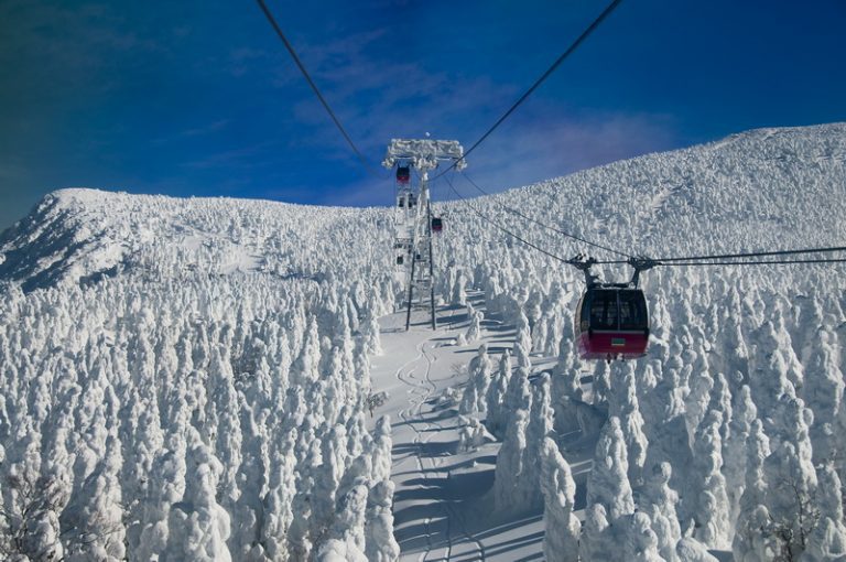 【東北戲雪，樹冰相伴】五日精選雙方案