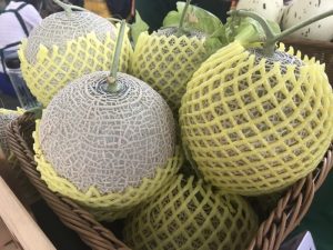 圖/9月初的正值台南洋香瓜產季