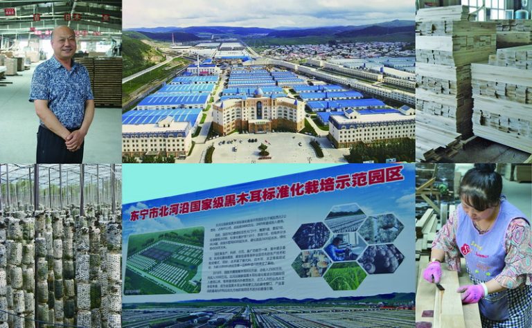 發展機遇 盡在東寧