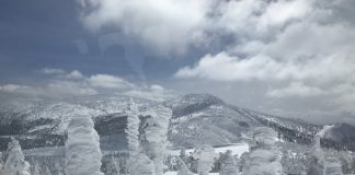 冬遊日本賞雪趣