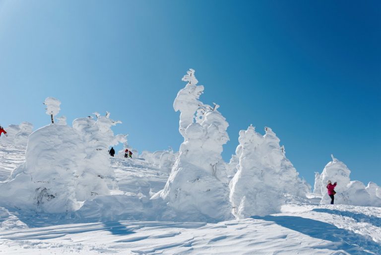 冬季旅人必蒐雪景：樹冰、合掌村、冰雪節⋯⋯你還少哪一景？