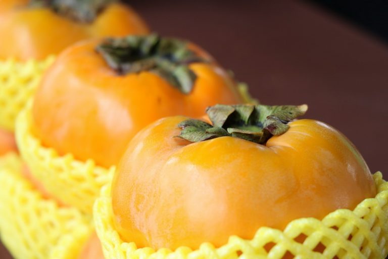 秋戀甜柿手作趣 花博農民市集好禮贈