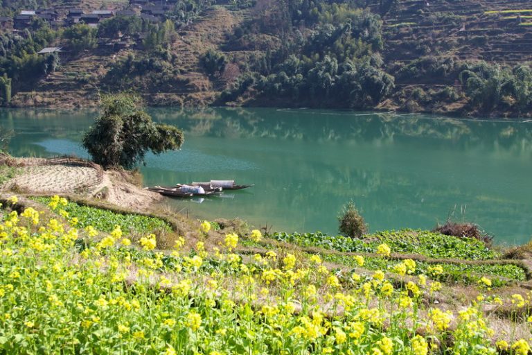 五星貴州羅平黃金花海~ 參團獨家贈送旅遊書