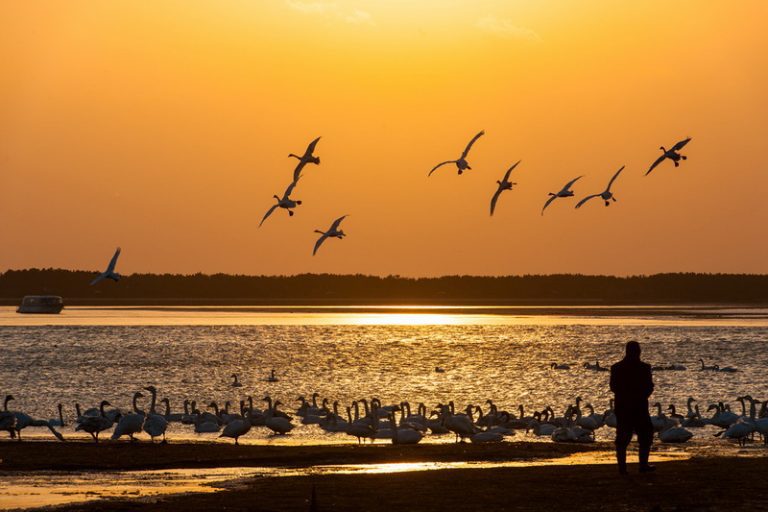 暢遊「山東」醉迷人的秘密!