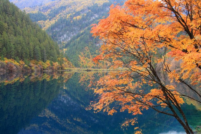 震撼心靈與視覺的旅遊勝地「九寨溝」