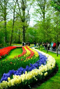 圖/庫肯霍夫公園