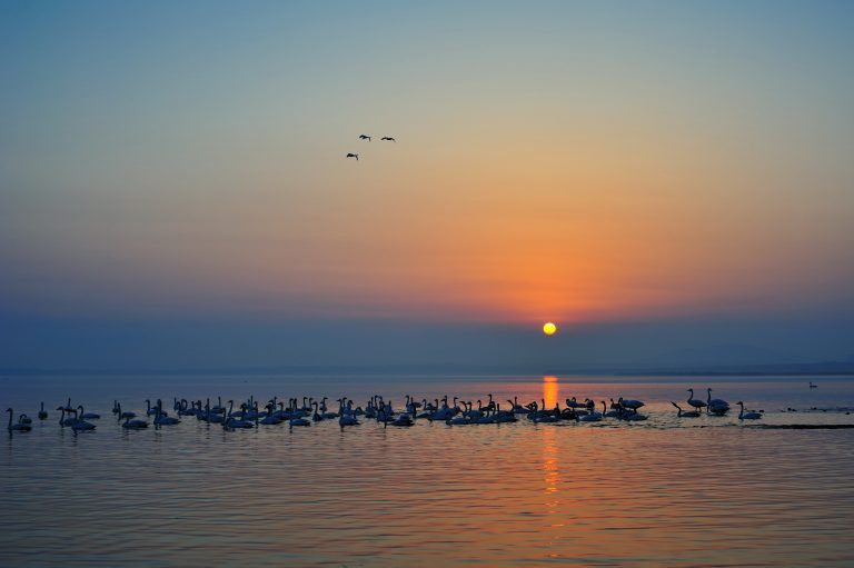 山東遊 志洋17年專賣 全程無購物站無自費行程