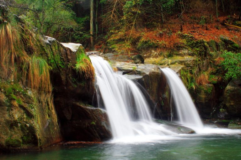 新春首選「新經典江西」