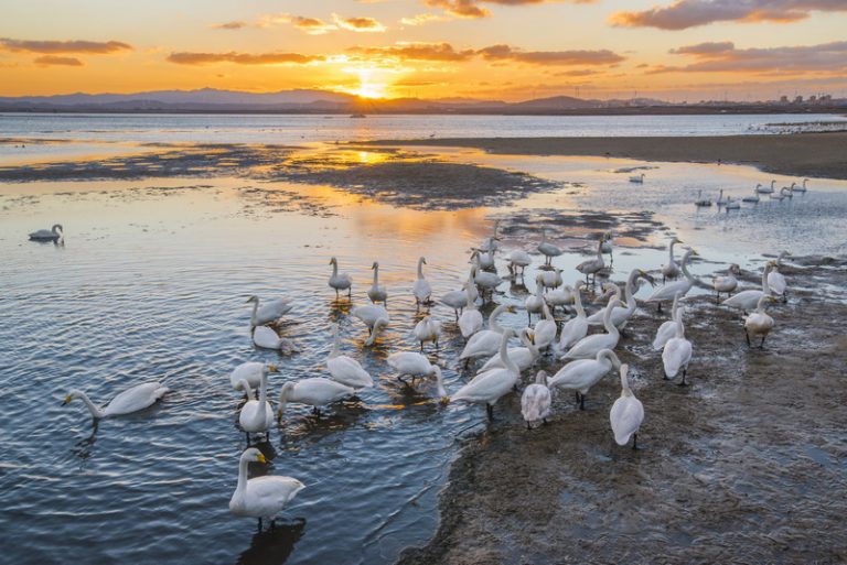 宇飛帶您~體驗山東酒文化