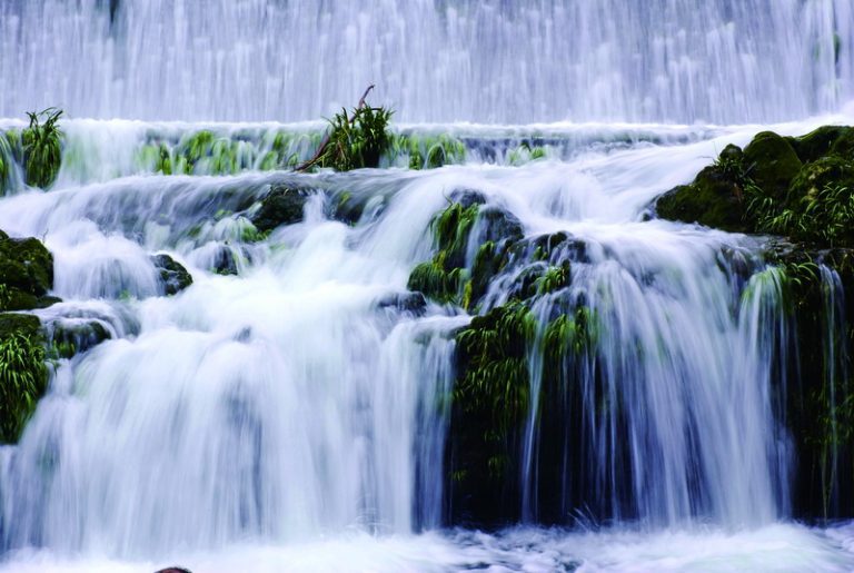 【貴州】羅平黃金花海