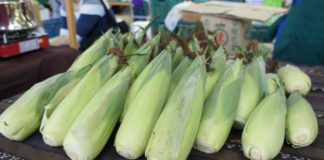 台北花博農民市集周末邀您嘗鮮雲林農特產品