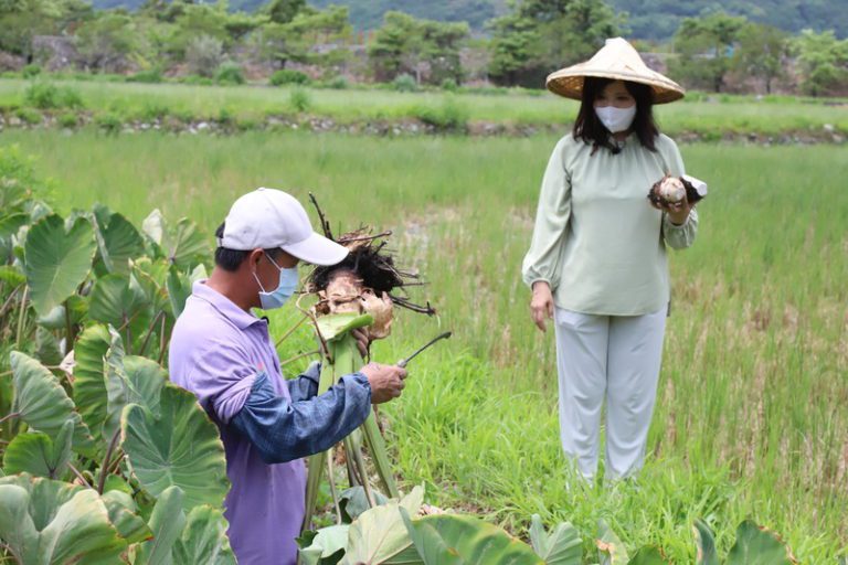 花蓮出遊安心住 疫後膳食放心吃  秧悦美地聯手知名營養師開發養生料理