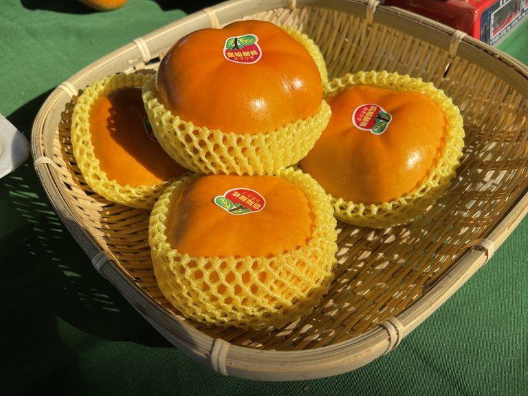 卡緊來唷~「嘉義柿柿如意」農產品展售活動在臺北花博農民市集熱鬧開展~