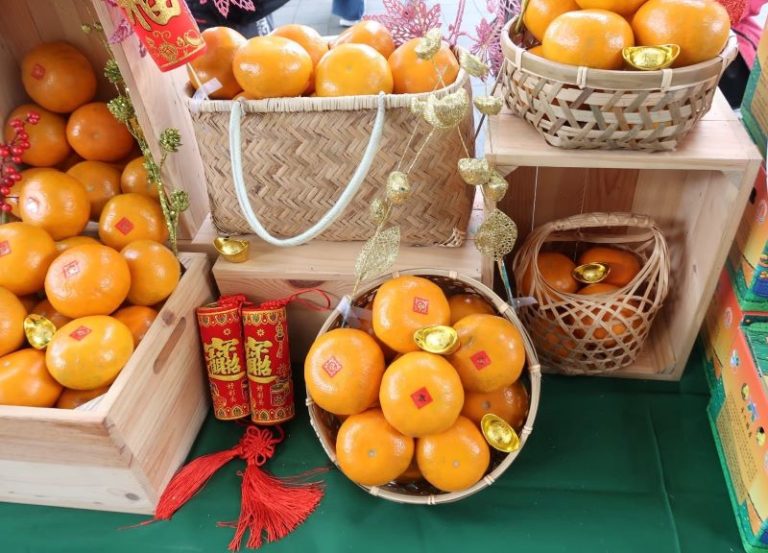 臺北花博農民市集   酸甜柑濃－嘉義縣農特產品展售活動