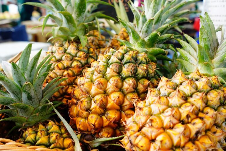 四月花博農民市集 「童趣FUN市集 一童趣交友」 臺北花博農民市集(捷運圓山站1號出口)