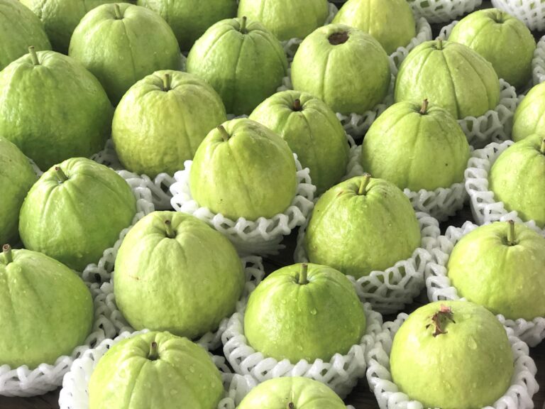 臺北花博農民市集 臺南市鳳梨及番石榴暨農特產品展售活動