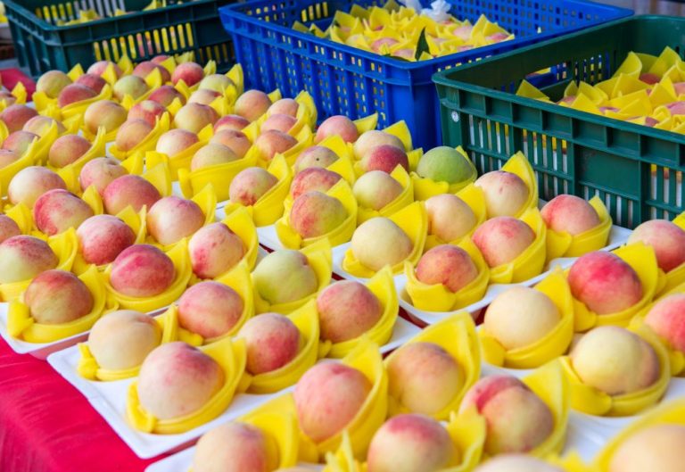 「角板菇事‧全員桃走中」，今年夏天帶你到角板山商圈尋找香菇的故事，吃吃買買水蜜桃!