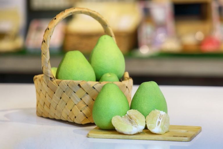 九月花博農民市集 「柚驚柚喜玩市集」臺北花博農民市集(捷運圓山站1號出口)