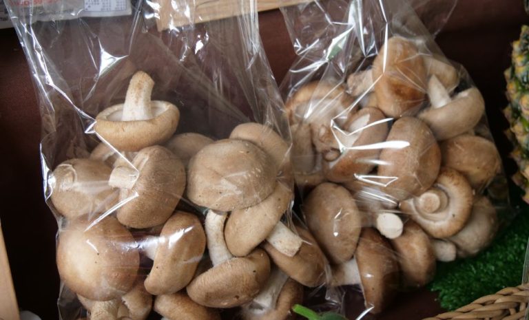 十一月花博農民市集 「花博大補帖 暖暖渡冷冬」 臺北花博農民市集(捷運圓山站1號出口)