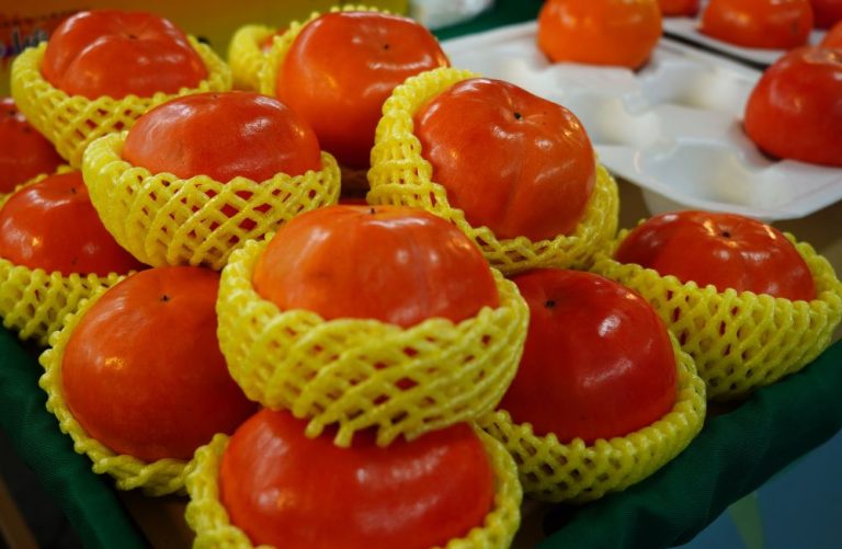 十月花博農民市集 「光輝十月農耀市集」 臺北花博農民市集(捷運圓山站1號出口)