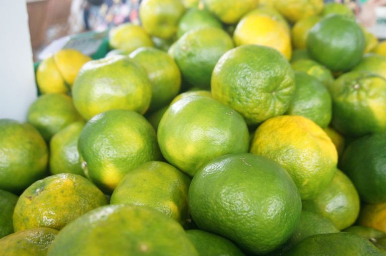 臺南白柚及青皮椪柑暨農特產品展售活動